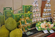 Des durians produits dans la commune de Long Trung (district de Cai Lây, province de Bên Tre, au Sud du Vietnam). Photo : VNA.