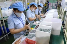 Le Brésil est actuellement le principal partenaire commercial du Vietnam en Amérique latine. Photo : congthuong.vn