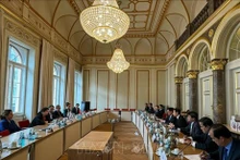 La délégation du ministère de la Justice travaille avec le ministère de la Justice de l'État de Hesse. Photo: VNA