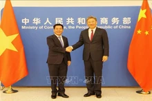 Le ministre de l’Industrie et du Commerce, Nguyen Hong Dien (gauche), et le ministre chinois du Commerce, Wang Wentao. Photo : VNA.