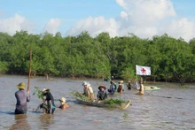 Préserver la mangrove verte : une urgence écologique dans le delta du Mékong