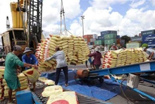 Les exportations de riz du Vietnam atteignent un record en termes de production et de valeur. Photo: VNA