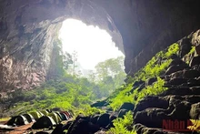 Phong Nha et Dông Hoi sont deux endroits de la province de Quang Binh (au Centre) qui figurent dans le top 10 des destinations les plus conviviales du Vietnam en 2023 (respectivement 1ère et 8e). Photo : NDEL.