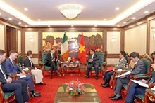 Le ministre du Plan et de l’Investissement, Nguyên Chi Dung (à droite, au centre) et le ministre d’État du ministère irlandais de la Justice, James Browne. Photo : VNA.
