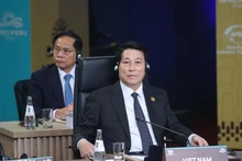 Le président Luong Cuong lors de l'APEC 2024 au Pérou. Photo: VNA.