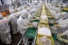 Les produits de la mer sont l'un des articles d'exportation clés du Vietnam vers l'Europe. Sur la photo : Production de produits de la mer destinés à l'exportation à la société par actions CAFATEX dans la province de Hâu Giang. Photo : hanoimoi.vn