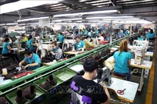 Dans la SARL de chaussures en cuir de Gia Dinh, à Hô Chi Minh-Ville. Photo: VNA