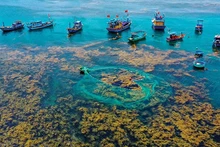 L'île Hon Khô a révélé sa beauté magique dans la saison des algues. Photo : Hanoimoi.vn