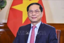 Les réalisations diplomatiques de 2024 ouvrent la voie à la nouvelle ère du Vietnam