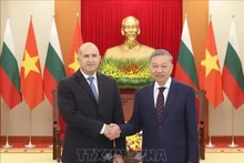 Le secrétaire général du Parti communiste du Vietnam (PCV), To Lam (droite), et le président bulgare, Roumen Radev. Photo: VNA
