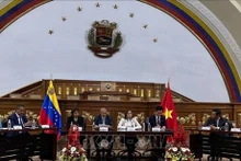Une rencontre entre des responsables vietnamiens et venezuéliens. Photo : VNA