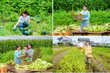il s'agit des images simples, familières et amicales réalisées par Bùi Ngoc Thuy suscitant l’intérêt de nombreux gens. Photo : Vietnamnet.vn