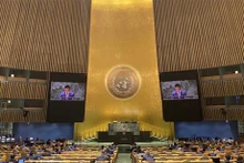 L'ambassadeur Dang Hoàng Giang, chef de la Mission permanente du Vietnam auprès de l'ONU, prend la parole. Photo : VNA.