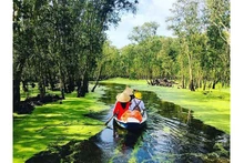 La forêt d'U Minh est une grande forêt célèbre au Vietnam. Photo : vtcnews.vn