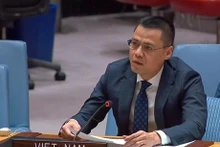 Le chef de la Mission permanente du Vietnam auprès de l’ONU, Dang Hoàng Giang. Photo : VNA.