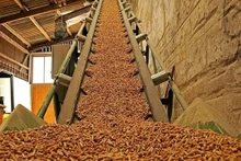 Binh Dinh a un nouveau projet de production de granulés de bois de plus de 341 milliards de dôngs. Photo : thuonghieucongluan.com.vn