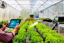L'application de la haute technologie dans l'agriculture. Photo d'illustration : baophapluat.vn