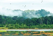 Le parc national de Cat Tien rejoint la Liste verte de l'UICN