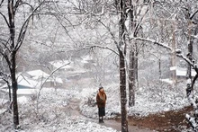 En hiver, la ville vire du vert au blanc, attire ceux qui veulent faire une randonnée relaxante sur le mont Fansipan ou la montagne Hàm Rông. Photo : Thetravel.