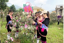 La ville de Mong Cai construire le village culturel des Dao Thanh Y dans la commune de Hai Son. Photo : VOV.