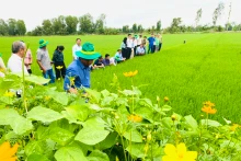 Les modèles pilotes provinciaux seront déployés en 2024. Photo : nhandan.vn