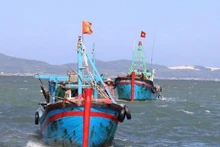 Binh Thuân met le cap sur une exploitation durable et responsable des ressources halieutiques. Photo d'illustration : VNA.