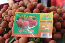 Litchis "thieu" de Luc Ngan, Bac Giang. Photo: VNA