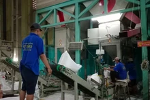 L'emballage du riz pour l'exportation à la Sarl de Phuoc Thanh, province de Long An. Photo : NDEL.