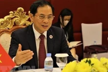 Le ministre des Affaires étrangères (AE), Bui Thanh Son. Photo: VNA