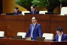 Le ministre des Affaires étrangères Bui Thanh Son. Photo : VNA