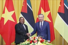 Le Secrétaire général du Parti communiste du Vietnam (PCV) et Président vietnamien, To Lam (droite), et le Président mozambicain, Filipe Jacinto Nyusi. Photo : VNA.