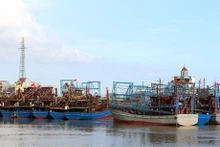 Nam Dinh contrôle strictement les bateaux de pêche aux ports. Photo : VNA.