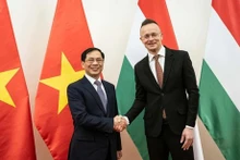Le ministre Bùi Thanh Son (à gauche) et le ministre hongrois des Affaires étrangères et du Commerce Péter Szijjártó. Photo : VNA.