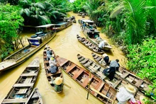 La province de Bên Tre est connue sous le nom de « région des Cocotiers ». Photo : hanoimoi.vn