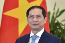 Le ministre des Affaires étrangères Bui Thanh Son. Photo : VNA.