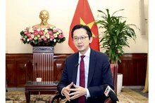 Le vice-ministre vietnamien des Affaires étrangères, Dô Hùng Viêt. Photo : baoquocte.vn