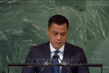 L'ambassadeur Dang Hoàng Giang, aussi chef de la Mission permanente du Vietnam auprès de l'ONU. Photo : VNA.