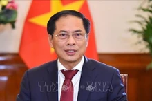 Le ministre des Affaires étrangères, Bùi Thanh Son. Photo d'archives : VNA.