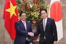 Le Premier ministre Pham Minh Chinh (à gauche) et le Premier ministre japonais, Kishida Fumio. Photo : VNA.
