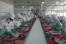 La transformation des produits de mer pour l'exportation dans la province de Bà Ria-Vung Tàu. Photo : kinhtedothi.vn