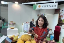 Le Vietnam demeure le premier partenaire commercial de l'Italie au sein de l'ASEAN