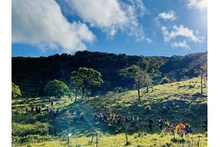Des activités de trekking (randonnée) dans le parc national de Nui Chua. Photo : VNA.