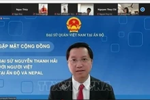 L'ambassadeur Nguyên Thanh Hai. Photo : VNA.