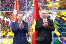 Le Secrétaire général et Président vietnamien Tô Lâm (à gauche) et le premier secrétaire et président cubain Miguel Díaz-Canel Bermúdez. Photo : VNA.