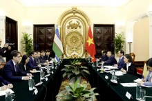 Lors de l'entretien entre le ministre vietnamien des Affaires étrangères Bùi Thanh Son et son homologue ouzbèke, Bakhtiyor Saidov. Photo : VNA.