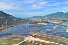 Le « Projet de développement de l’énergie éolienne terrestre dans la province de Ninh Thuân ». Photo: vneconomy.vn