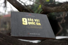 Le livre permet aux lecteurs et amateurs d'art de mieux comprendre les trésors nationaux actuellement conservés au Musée des beaux-arts du Vietnam. Photo : Musée des beaux-arts du Vietnam.