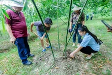 Un modèle de l'agro-écotourisme. Photo: https://nhandan.vn/