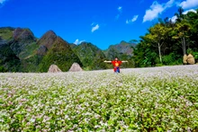 Hà Giang (au Nord du Vietnam) se classe 4e dans la liste des 10 destinations touristiques les plus impressionnantes de 2023 annoncée par Google. Photo : VOV.