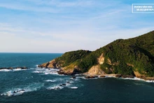La mer autour de l'île de Thanh Lân renferme une biodiversité avec des écosystèmes typiques des mers tropicales. Photo : baoquocte.vn